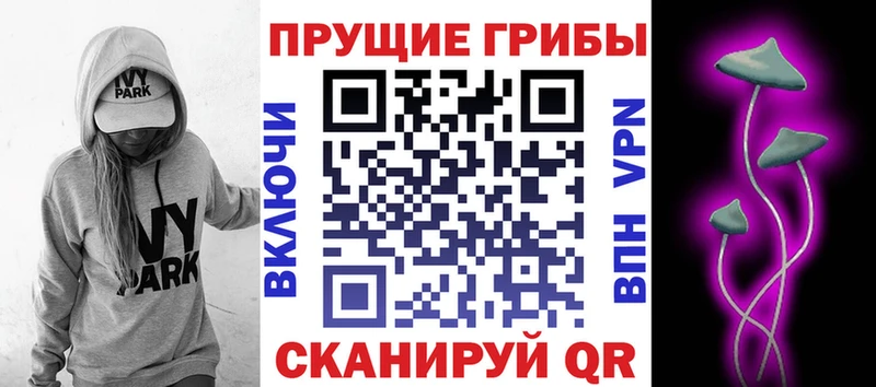 Галлюциногенные грибы прущие грибы  где купить наркотик  МЕГА tor  Кизел 