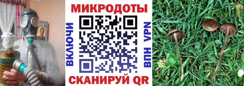 Псилоцибиновые грибы мицелий Кизел
